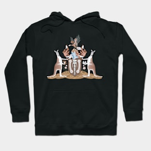 Coat of arms of the Northern Territory Hoodie